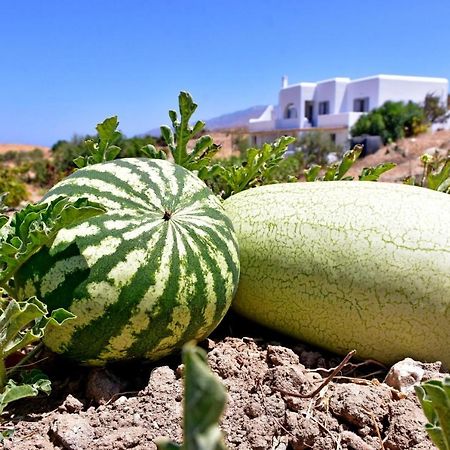 Relaxia Estate Naxos Daire Galini  Dış mekan fotoğraf