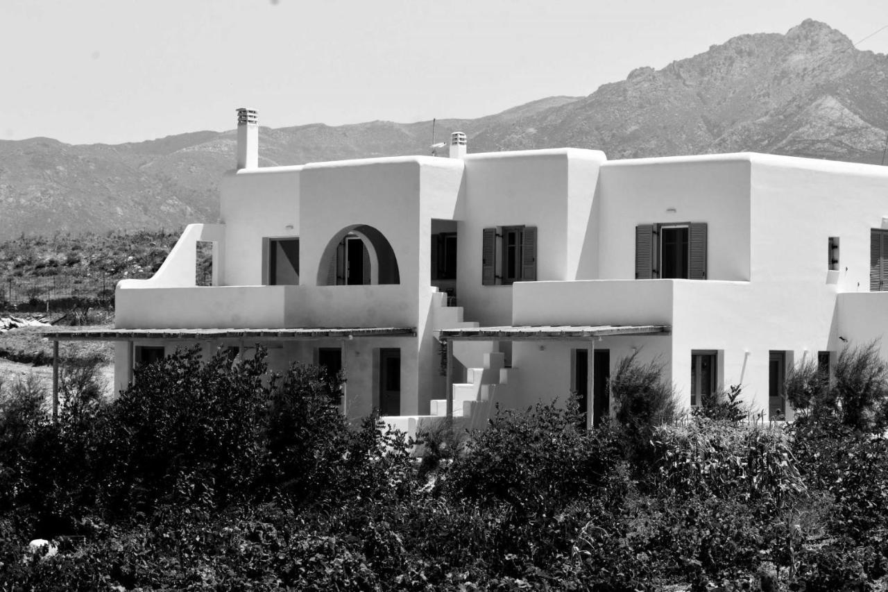 Relaxia Estate Naxos Daire Galini  Dış mekan fotoğraf