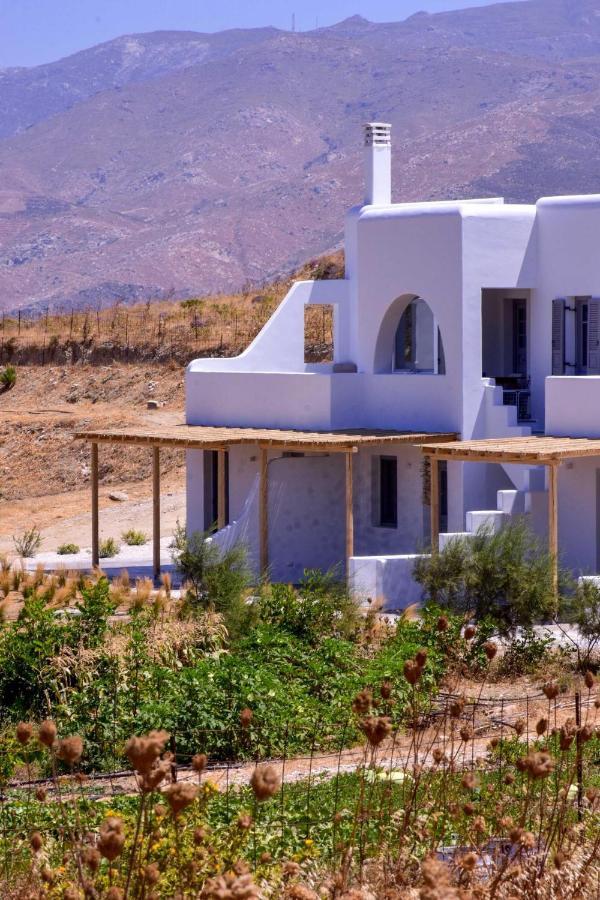 Relaxia Estate Naxos Daire Galini  Dış mekan fotoğraf